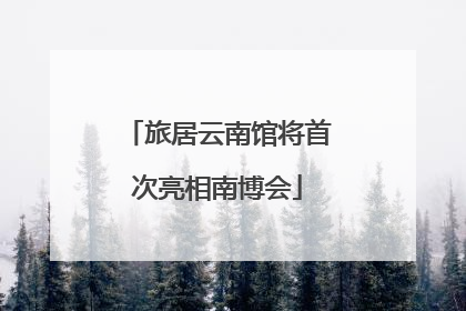 旅居云南馆将首次亮相南博会