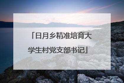 日月乡精准培育大学生村党支部书记