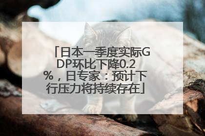 日本一季度实际GDP环比下降0.2%，日专家：预计下行压力将持续存在
