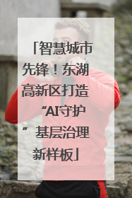 智慧城市先锋！东湖高新区打造“AI守护”基层治理新样板