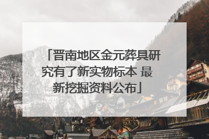 晋南地区金元葬具研究有了新实物标本 最新挖掘资料公布