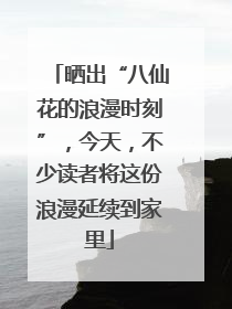 晒出“八仙花的浪漫时刻”，今天，不少读者将这份浪漫延续到家里