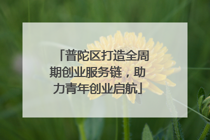 普陀区打造全周期创业服务链，助力青年创业启航