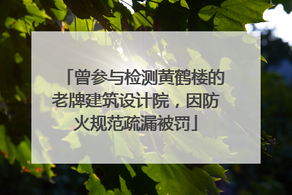 曾参与检测黄鹤楼的老牌建筑设计院，因防火规范疏漏被罚