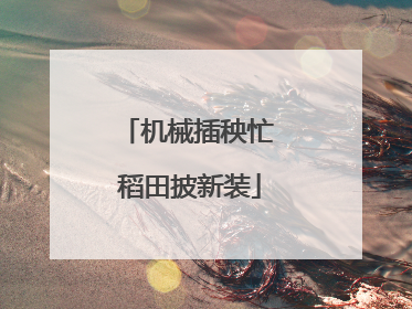 机械插秧忙 稻田披新装