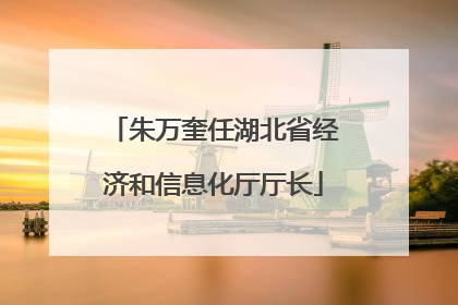 朱万奎任湖北省经济和信息化厅厅长