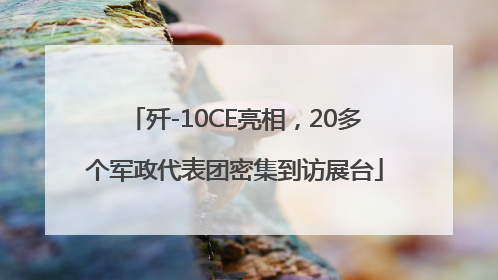 歼-10CE亮相，20多个军政代表团密集到访展台
