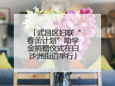 武昌区妇联“春蕾计划”助学金捐赠仪式在白沙洲街道举行