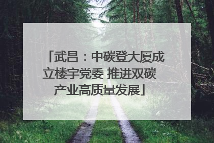武昌：中碳登大厦成立楼宇党委 推进双碳产业高质量发展