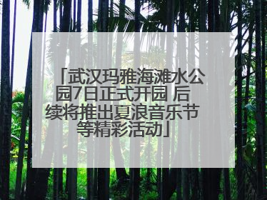 武汉玛雅海滩水公园7日正式开园 后续将推出夏浪音乐节等精彩活动