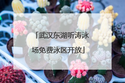 武汉东湖听涛泳场免费泳区开放