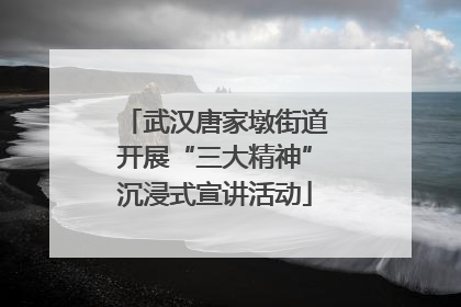 武汉唐家墩街道开展“三大精神”沉浸式宣讲活动
