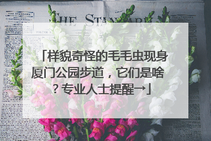 样貌奇怪的毛毛虫现身厦门公园步道，它们是啥？专业人士提醒→