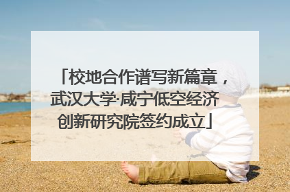 校地合作谱写新篇章，武汉大学·咸宁低空经济创新研究院签约成立