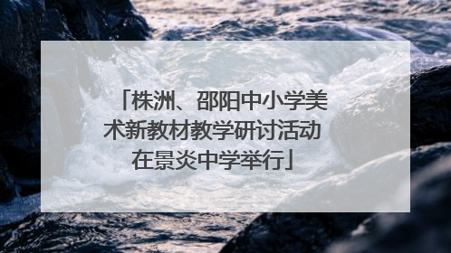 株洲、邵阳中小学美术新教材教学研讨活动在景炎中学举行