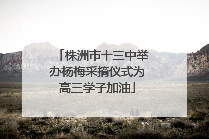 株洲市十三中举办杨梅采摘仪式为高三学子加油
