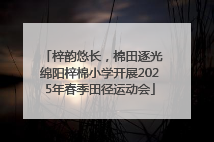 梓韵悠长，棉田逐光 绵阳梓棉小学开展2025年春季田径运动会