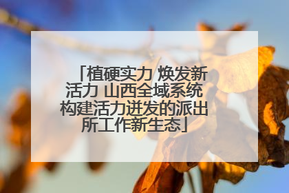 植硬实力 焕发新活力 山西全域系统构建活力迸发的派出所工作新生态