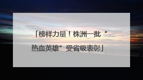 榜样力量！株洲一批“热血英雄”受省级表彰