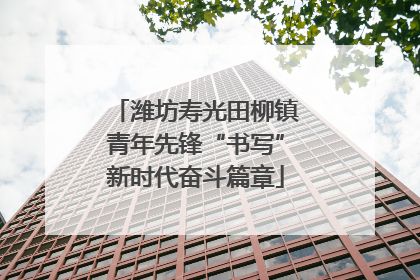 潍坊寿光田柳镇青年先锋“书写”新时代奋斗篇章