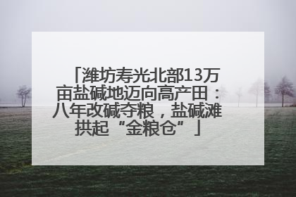 潍坊寿光北部13万亩盐碱地迈向高产田：八年改碱夺粮，盐碱滩拱起“金粮仓”