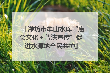 潍坊市牟山水库“庙会文化＋普法宣传”促进水源地全民共护