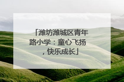 潍坊潍城区青年路小学：童心飞扬，快乐成长
