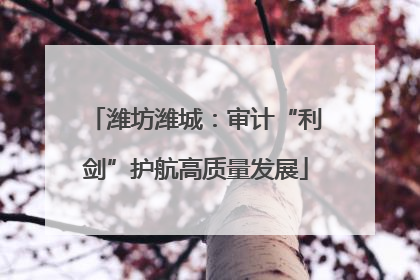 潍坊潍城：审计“利剑”护航高质量发展