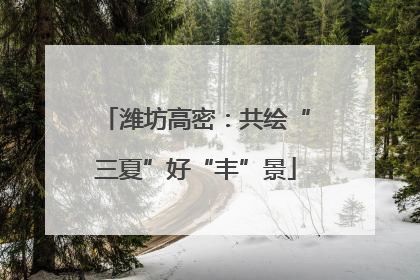 潍坊高密：共绘“三夏”好“丰”景