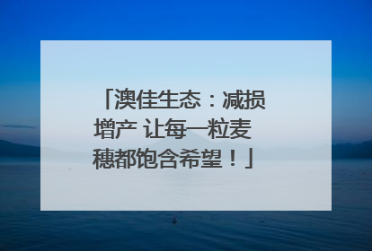 澳佳生态：减损增产 让每一粒麦穗都饱含希望！