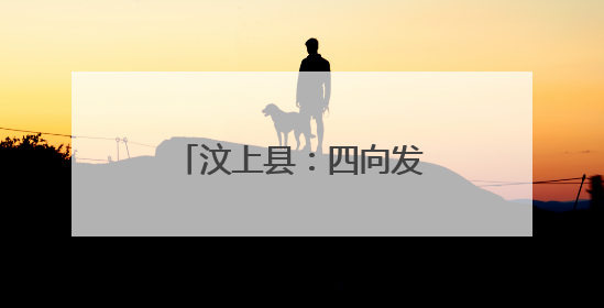 汶上县：四向发力 绘就“跨村联建”崭新图景
