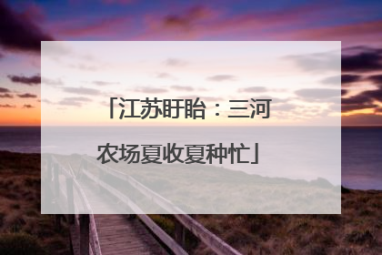 江苏盱眙：三河农场夏收夏种忙