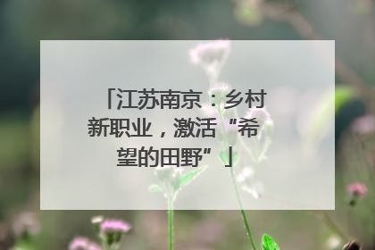 江苏南京：乡村新职业，激活“希望的田野”
