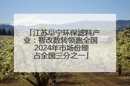 江苏阜宁环保滤料产业：智改数转领跑全国 2024年市场份额占全国三分之一