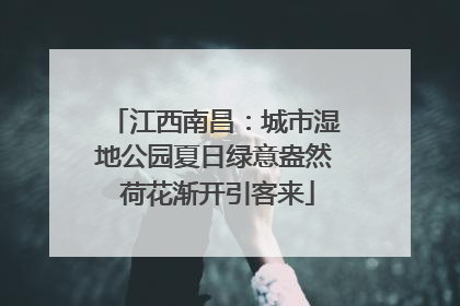 江西南昌：城市湿地公园夏日绿意盎然 荷花渐开引客来