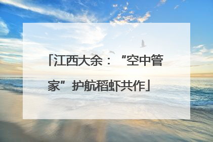 江西大余：“空中管家”护航稻虾共作
