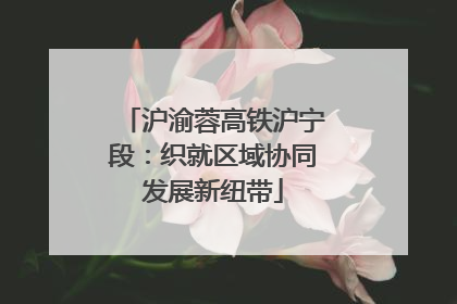 沪渝蓉高铁沪宁段：织就区域协同发展新纽带