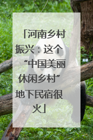 河南乡村振兴：这个“中国美丽休闲乡村”地下民宿很火