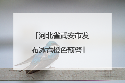 河北省武安市发布冰雹橙色预警