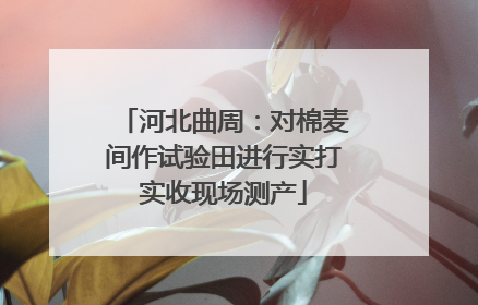 河北曲周：对棉麦间作试验田进行实打实收现场测产
