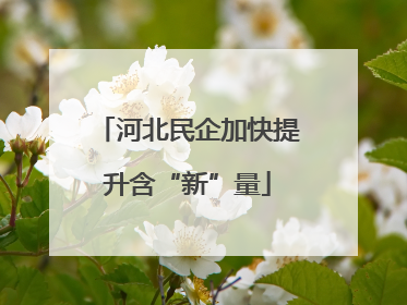 河北民企加快提升含“新”量