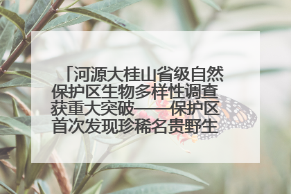 河源大桂山省级自然保护区生物多样性调查获重大突破——保护区首次发现珍稀名贵野生干巴菌与钝尾两头蛇