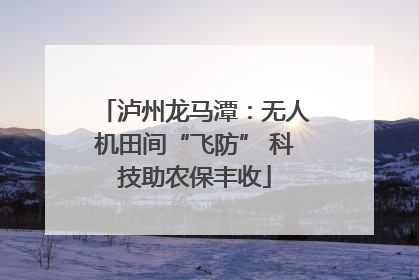 泸州龙马潭：无人机田间“飞防” 科技助农保丰收