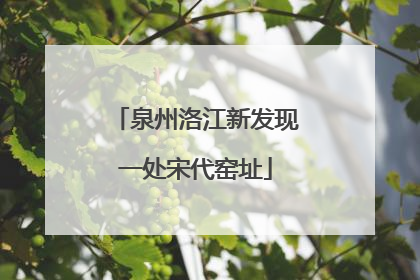 泉州洛江新发现一处宋代窑址