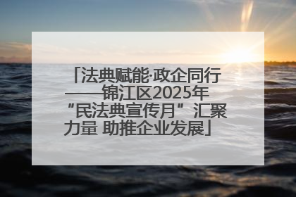 法典赋能·政企同行——锦江区2025年“民法典宣传月”汇聚力量 助推企业发展