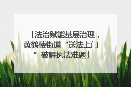 法治赋能基层治理，黄鹤楼街道“送法上门”破解执法难题