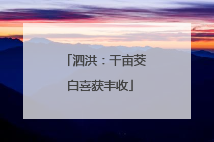 泗洪：千亩茭白喜获丰收