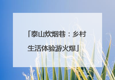 泰山炊烟巷：乡村生活体验游火爆