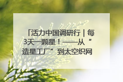 活力中国调研行｜每3天一颗星！——从“造星工厂”到太空织网的“银河速度”