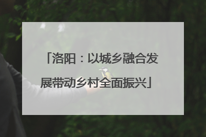 洛阳：以城乡融合发展带动乡村全面振兴